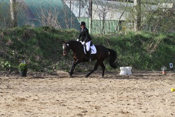 Bild 1333 - WBO-Turnier am 9.4.11